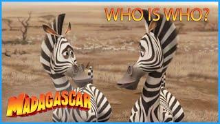 DreamWorks Madagascar | Who is Who?  |  Madagascar: Escape 2 Africa Movie