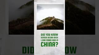 Did u know bonsai started in China over 1,000 years ago as penjing #bonsai #bonsaihistory #penjing”