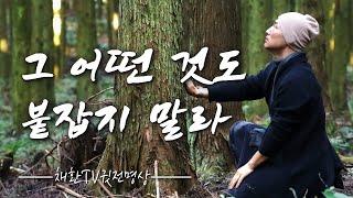 인생 후반전, 마음의 주인이 되는 법 / 생각에 휘둘리지 않는 삶 / 평온을 찾는 인생의 기술 / 그 어떤 것도 붙잡지 말라