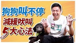 在家叫！出門也叫！狗狗總是叫不停！？減緩吠叫5大心法 How to Stop Dog Barking｜熊爸估狗