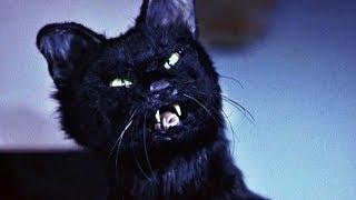 Синди Кэмпбелл против Кота | Очень страшное кино 2 | 2001