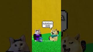 A Bad Day For The Cat but this is what happend... #roblox #bloxfruits