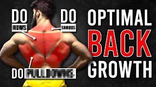 What are the BEST BACK Exercises? (Science Based)