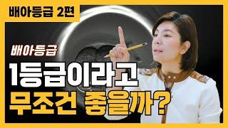 [올댓연구소] 배아, 많이 넣을수록 임신 잘 되나요? | 3일 vs 5일 배양, 이식 전략 완전정리