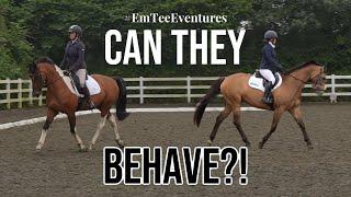 Can our horses BEHAVE?!
