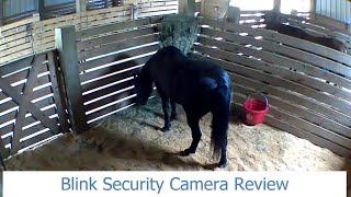 Cameras in the barn | Blink Security Camera Review