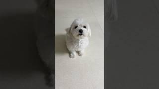 아침부터 이렇게 귀여울 일..??