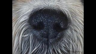 How to Paint a Dog Nose and Fur/Hair - Full Step by Step Oil Painting Tutorial in Real Time