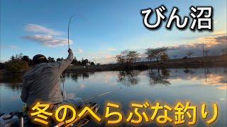 びん沼墓場下でへらぶな釣り！冬のへらぶな釣り！長竿&スコープが必須になってきました！