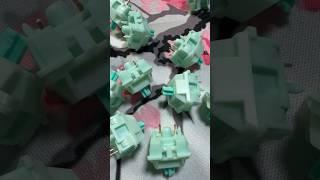Akko Botany Switches Sound Test in Monsgeek M1V3