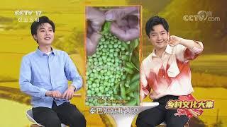 《我的美丽乡村》 20220617 乡村文化大集|农业致富经 Agriculture And Farming