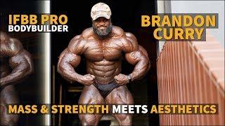 IFBB Pro Brandon Curry: One of the Most Muscular Bodybuilders Competing at the 2019 Olympia