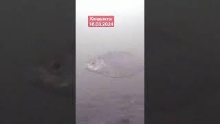 #рыбалка #рыбалкавсеверномказахстане #чебак