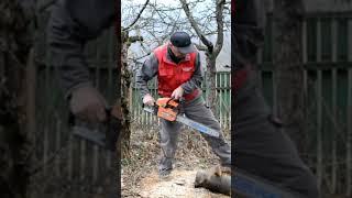 Старая и китайская, но все еще работает и заводится как новая #stihl #chainsaw