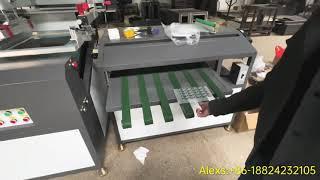 High accuracy automatic screen printing machine for heat transfer film/paper/PVC/PET etc