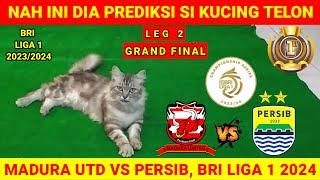 YES ‼️ PERSIB JUARA  MADURA UTD VS PERSIB - LEG 2 FINAL BRI LIGA 2024 - Prediksi Kucing Telon