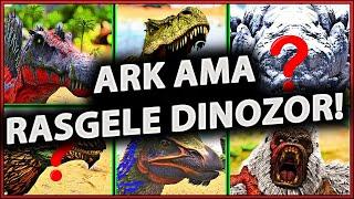 Ark survival evolved AMA Rastgele Dinozorlara dönüşüyorum # Part 2 | PLAY AS DINO |  Türkçe