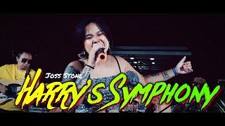 Harry's Symphony - Joss Stone | Kuerdas Reggae Cover