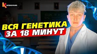 ГЕНЕТИКА ДЛЯ ЧАЙНИКОВ — Как понять Генетику с нуля за 18 минут?