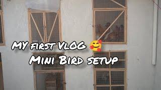 My first vlog  | Mini bird setup | Mr Danish Vlogs