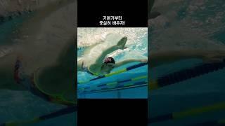 접영 배우는 순서 4단계로 정리!  #swim #수영 #접영 #butterfly