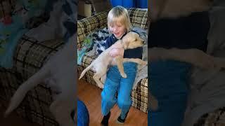 puppy