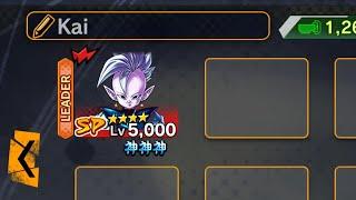 New Supreme Kai Shin is Actually a Decent Character!!!(Showcase)