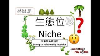 DSE Bio 甚麼是 Niche生態位？生態關係精讀班 Ecological relationship intensive