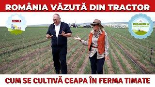 Cum se cultivă ceapa în ferma Timate / România Văzută Din Tractor