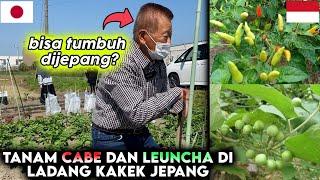 DEMI CUCU INDONESIA LADANG KAKEK BERUBAH JADI TANAMAN SAYUR INDONESIA