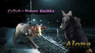 •|| Collad || Alone || Me and Prosto Koshka|| WildCraft||• 