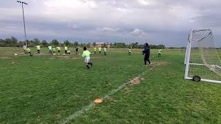 Teaching my goalies the scorpion (El escorpion de Higuita)