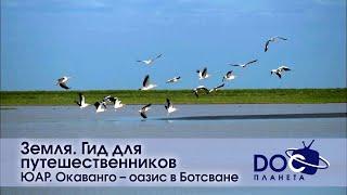 Земля.Гид для путешественников.ЮАР - Фильм 3.ЮАР. Окаванго – оазис в Ботсване - Документальный фильм