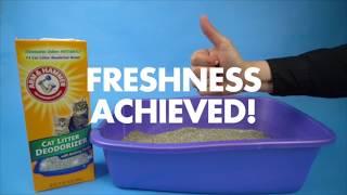 Boost your Litter’s Freshness with Arm & Hammer™ Cat Litter Deodorizer