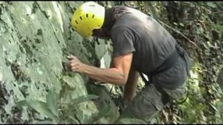 Rock Climbing in Ohiopyle State Park, Ohiopyle, PA