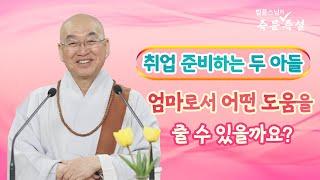 1849. 취업 준비하는 두 아들 엄마로서 어떤 도움을 줄 수 있을까요?