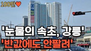 "외지인들이 다 망쳐 놨어요" 눈물의 속초, 강릉 부동산 몰아보기(280만 시청)