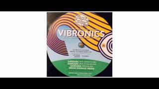 Vibronics - Samsara Ep - 12" - Cubiculo Records