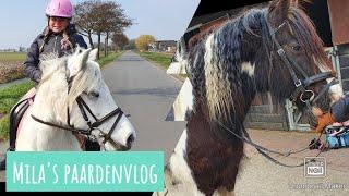 Mila paardenvlog #vlog 6 Jack en Angel mooi gemaakt voor BUITENRIT en Angel steigert!!!