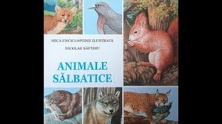 ANIMALE SĂLBATICE - Mică enciclopedie ilustrată | Videoclip educativ pentru copii 