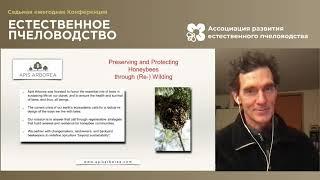 Проект Apis Arborea. Выступление Михаэля Тиле (США) на Конференции «Естественное пчеловодство-2020».