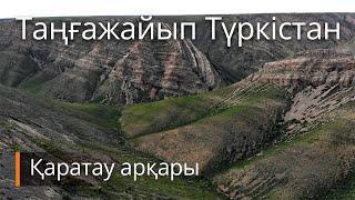 Таңғажайып Түркістан. Қаратау арқары