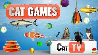 Cat Games | Ultimate Cat TV Compilation Vol 2 | 