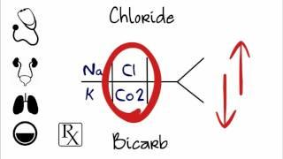 What is BMP CBC Chem 7 Chemistry 7 Nurse Labs Nursing student