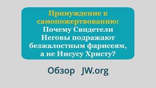 Принуждение к самопожертвованию: почему СИ подражают безжалостным фарисеям, а не Иисусу Христу?