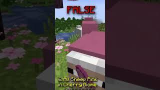 Busting Myths in Minecraft 1.20!