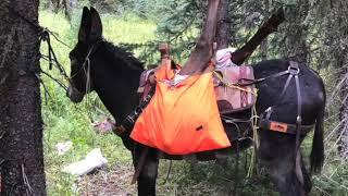 Pack Lite Meat Panniers