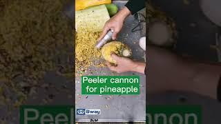 Peeler steel cannon for pineapple skin peeling