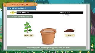 ORANGE LEAF PUBLISHERS | CLASS 1 | TERM 1 CH 2 | SEM 1 CH 2 | SCIENCE | FOOD FROM PLANTS