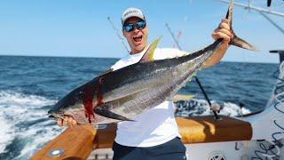 Yellowfin Tuna Fishing: They're Here!!
